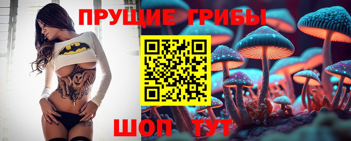 Псилоцибиновые грибы прущие грибы  Вход с VPN  Скопин 